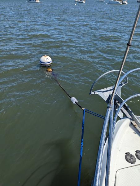 Jensen Beach Mooring Field